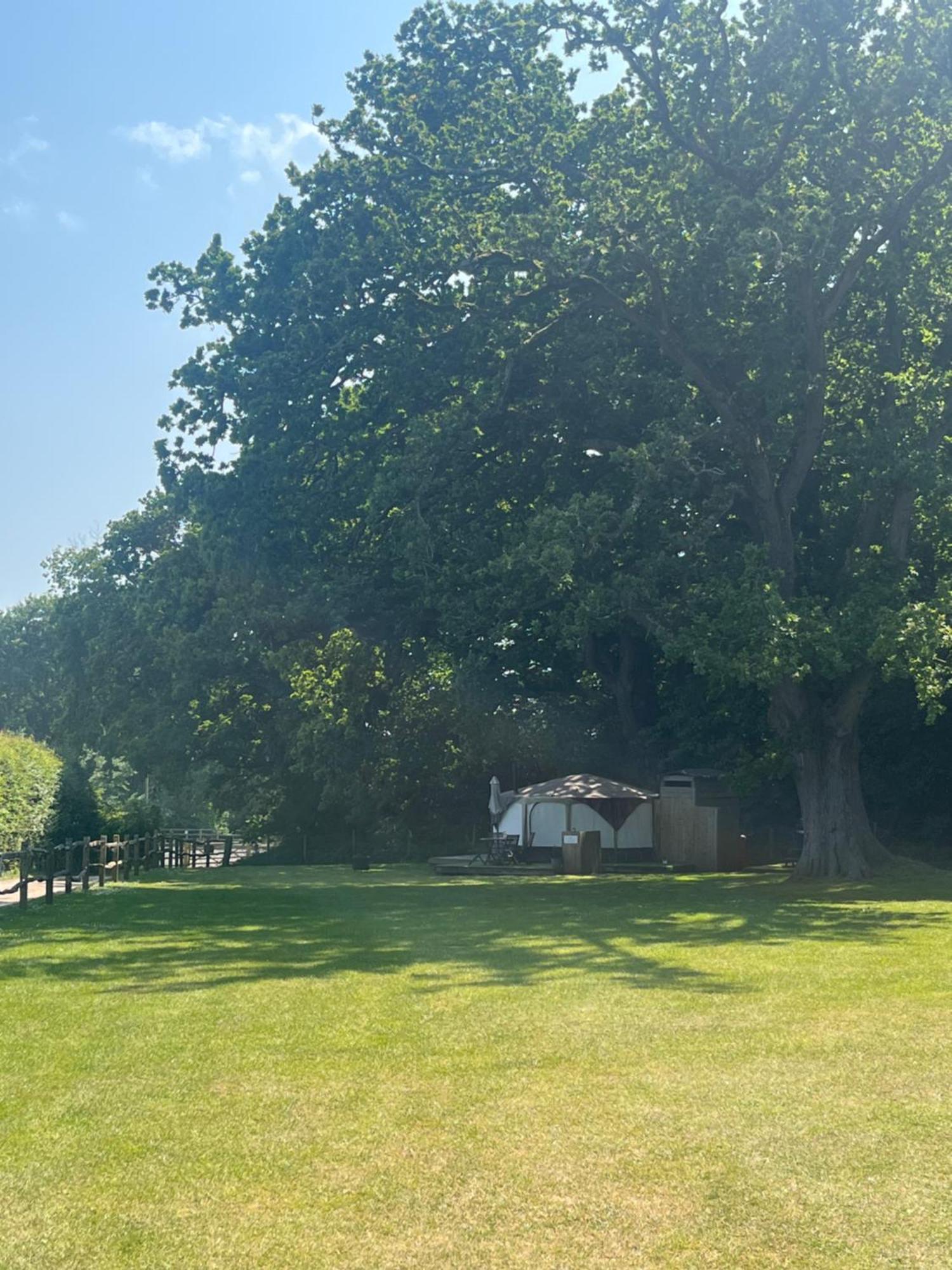 Old Dairy Farm Glamping Hotel Emsworth Exterior foto